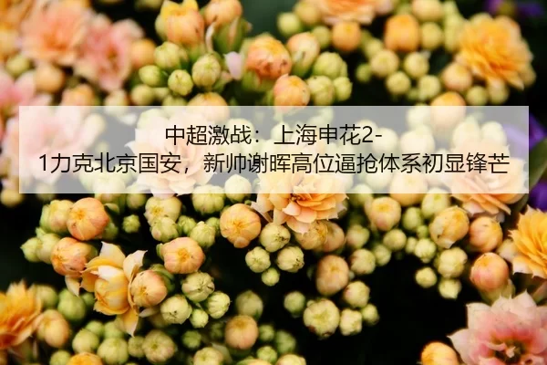 中超激战：上海申花2-1力克北京国安，新帅谢晖高位逼抢体系初显锋芒