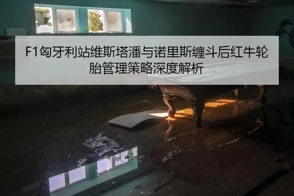 F1匈牙利站维斯塔潘与诺里斯缠斗后红牛轮胎管理策略深度解析